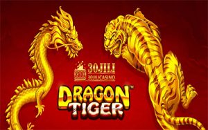 30JILI dragon tiger